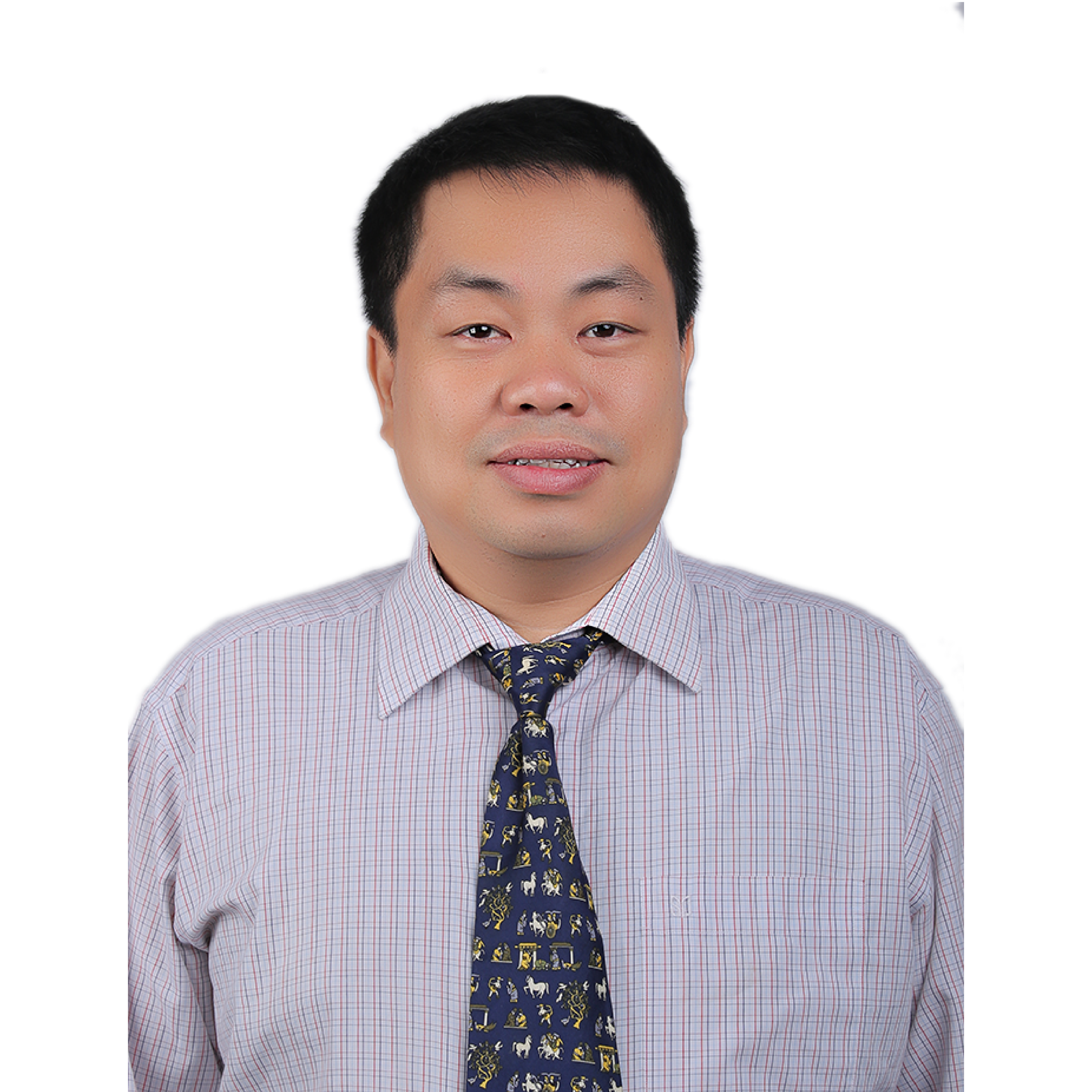 Mr. Nguyen Quang Huy